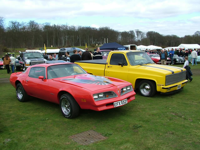 '78 Trans Am &amp; '81 Chevy Pickup